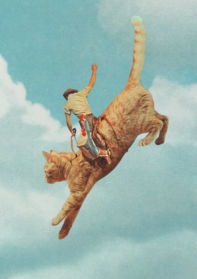 Meehaw - Rodeo Cat : Bronc by Vertigo Artography
