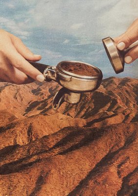 Barista Coffee County by Vertigo Artography