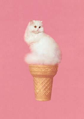 Cat Ice Cream - Pink by Vertigo Artography