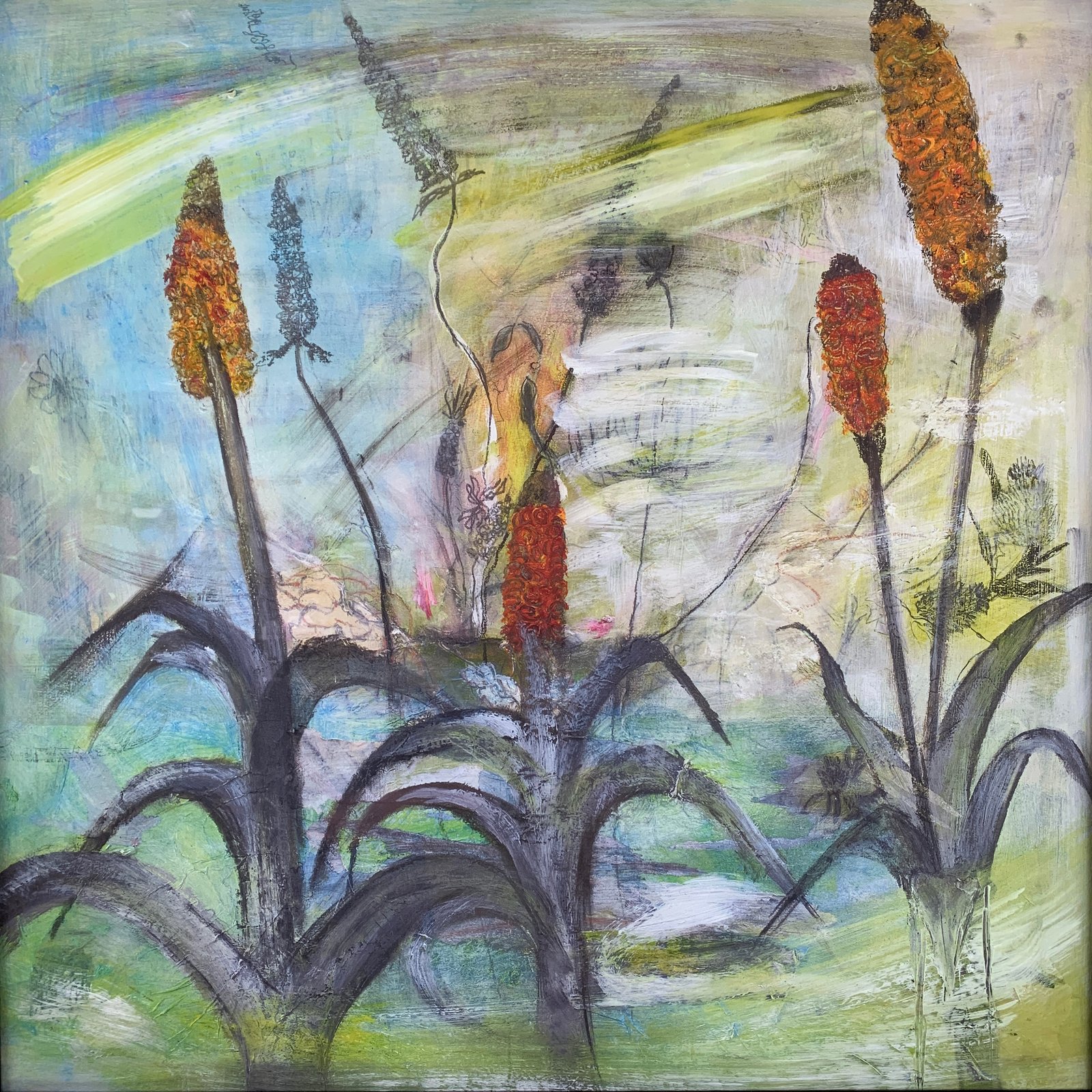 Red Hot Pokers